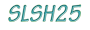 LOGO SLSH25