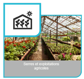 Example 7 Exemple 7