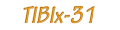 Thermomètres TIBIX 31 TIBIX 31